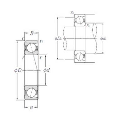 Bearing 7305C NTN