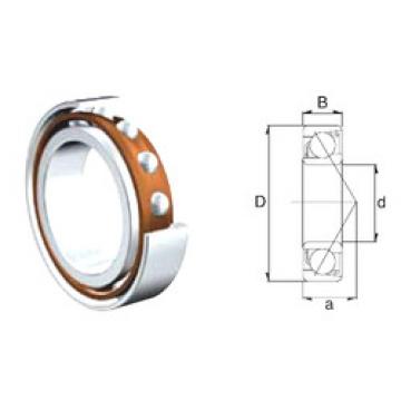 Bearing S7204B ZEN