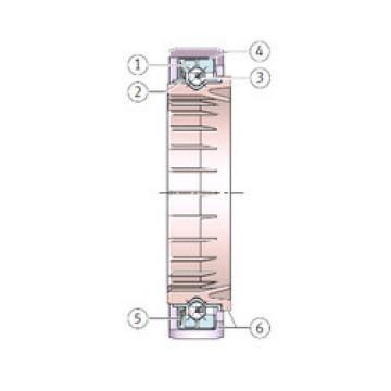 Bearing F-216217 INA