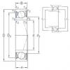 Bearing VEB 110 /S/NS 7CE1 SNFA